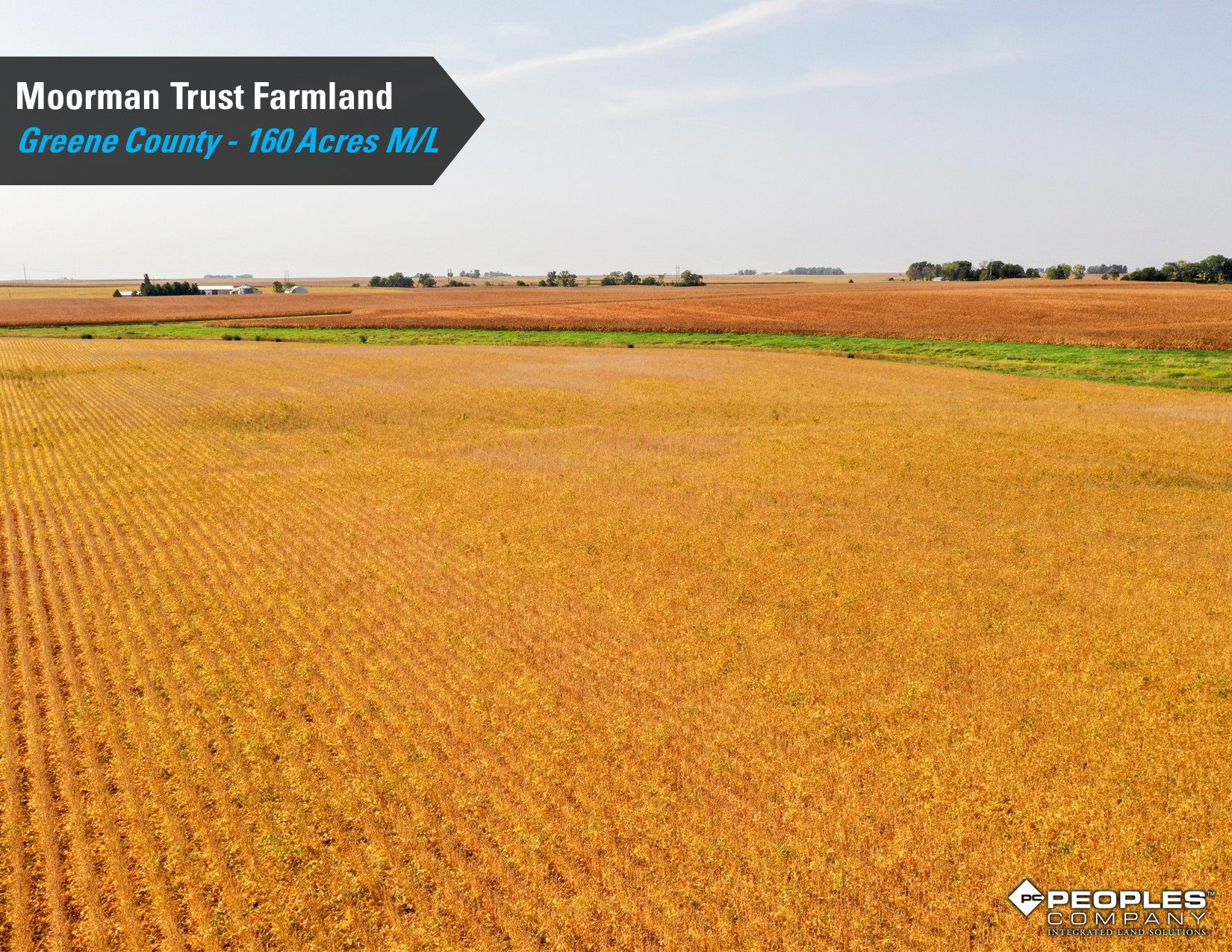Listing Photo: Greene-County-Iowa-Farmland-Auction-160-Acres-Moorman-Rippey-IA-18618 (20)